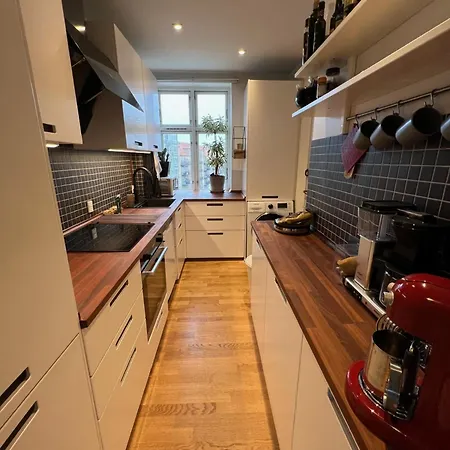 Beautiful And Cosy 公寓 哥本哈根