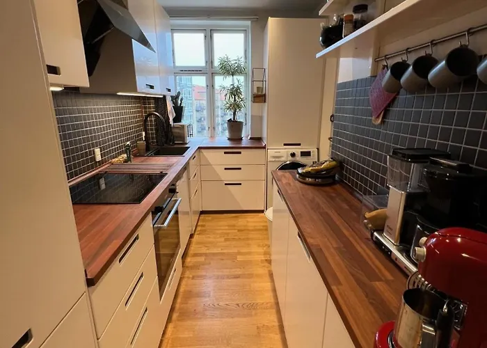 Beautiful And Cosy 公寓 哥本哈根